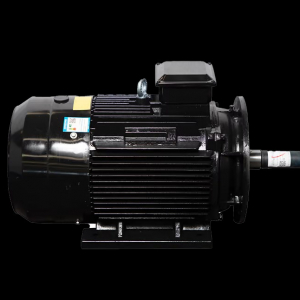 Motor LAEG TYP Series – Động cơ đồng bộ nam châm vĩnh cửu
