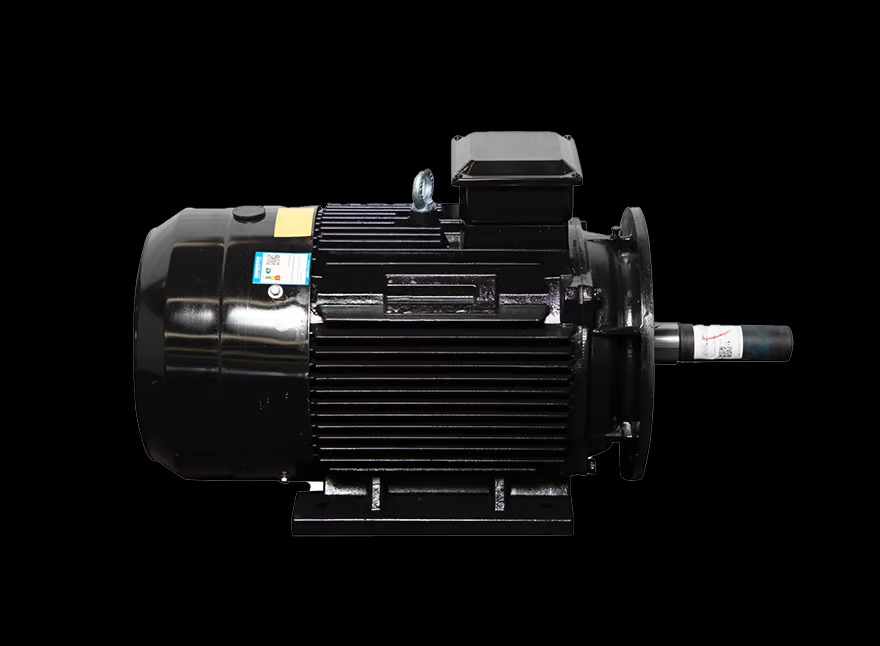 Motor LAEG TYP Series – Động cơ đồng bộ nam châm vĩnh cửu