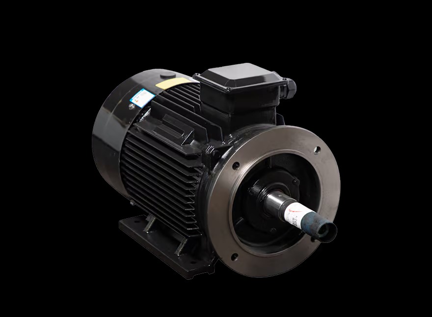 Motor LAEG TYP Series – Động cơ đồng bộ nam châm vĩnh cửu