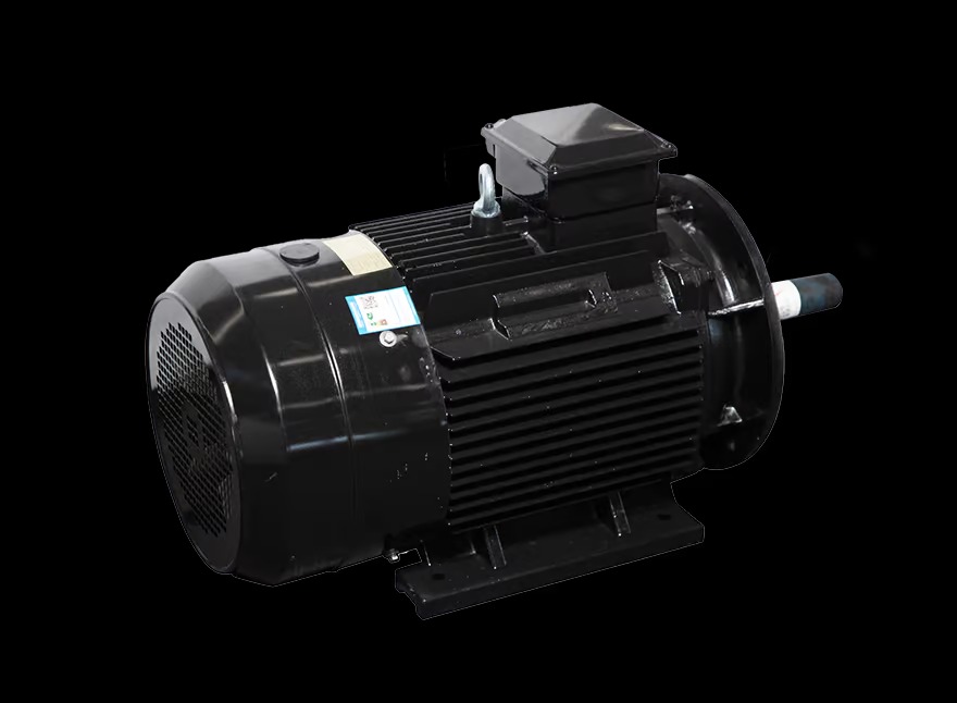 Motor LAEG TYP Series – Động cơ đồng bộ nam châm vĩnh cửu