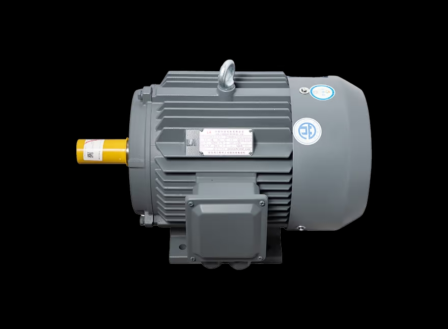 Motor LAEG TYP Series – Động cơ đồng bộ nam châm vĩnh cửu