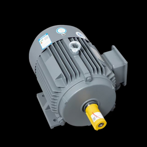 Motor LAEG TYP Series – Động cơ đồng bộ nam châm vĩnh cửu