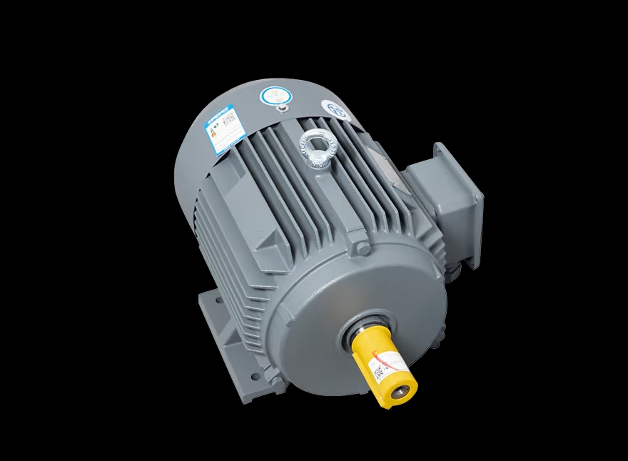 Motor LAEG TYP Series – Động cơ đồng bộ nam châm vĩnh cửu